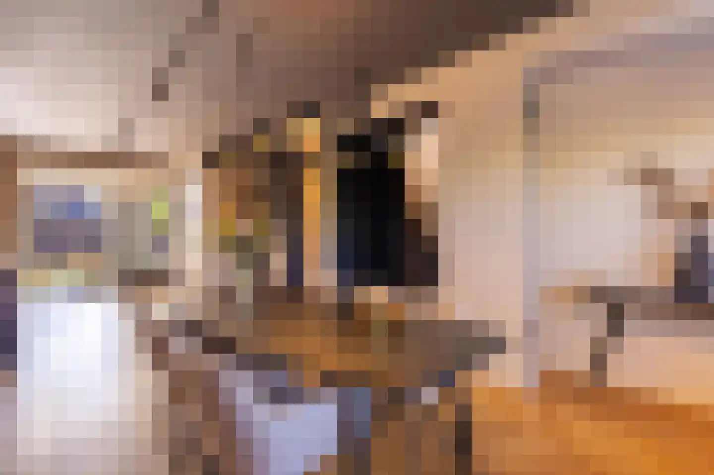 Spoorzichtlaan 15 Heemstede thumbnail 9