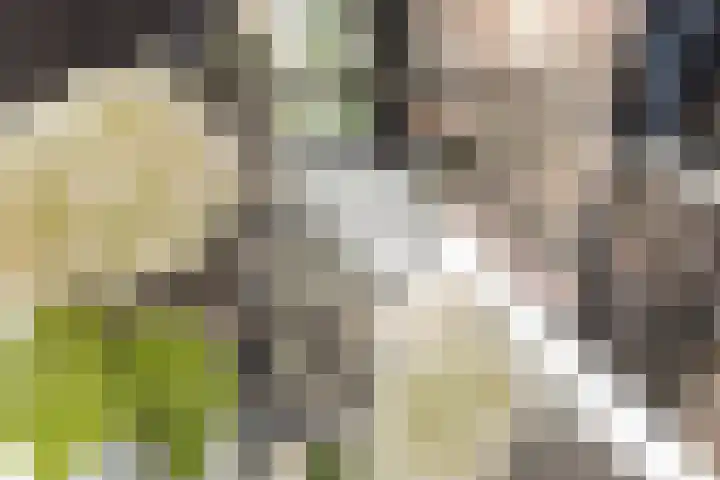 Spoorzichtlaan 17 Heemstede thumbnail 19