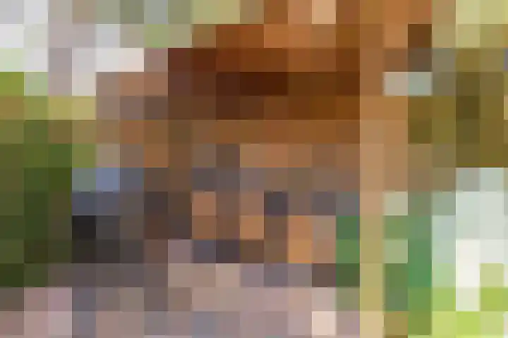 Spoorzichtlaan 17 Heemstede thumbnail 23