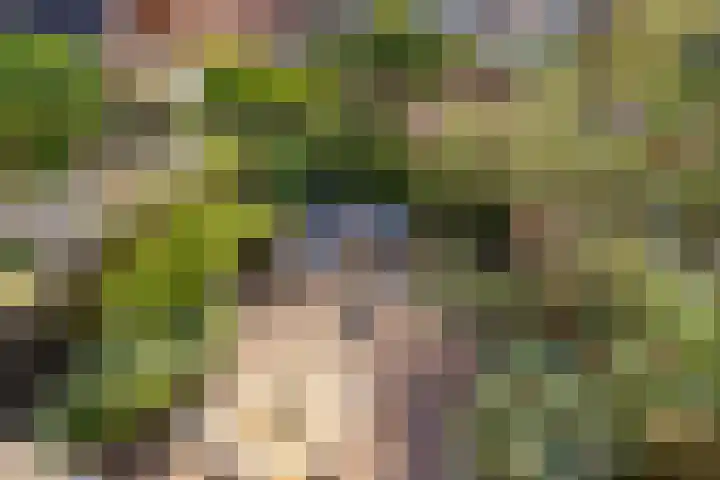 Spoorzichtlaan 17 Heemstede thumbnail 42