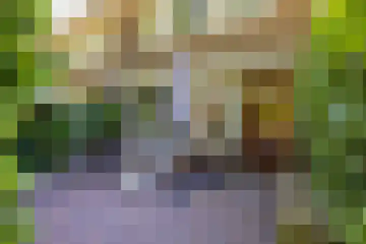 Spoorzichtlaan 17 Heemstede thumbnail 58