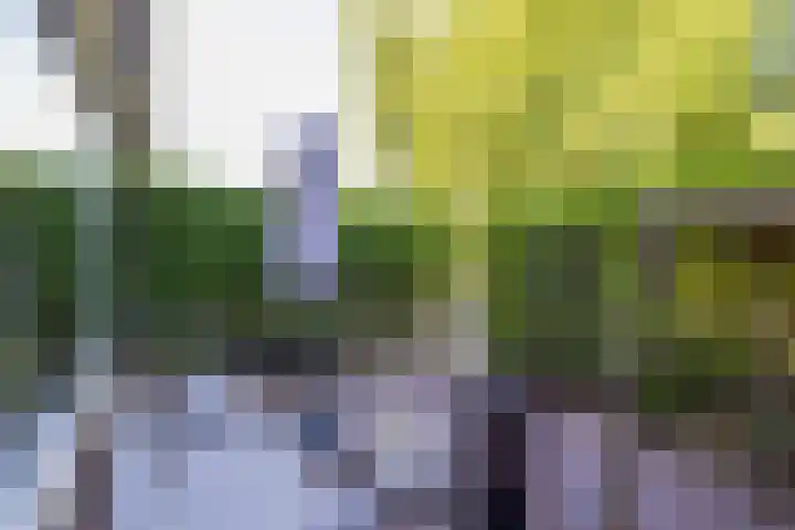 Spoorzichtlaan 17 Heemstede thumbnail 59