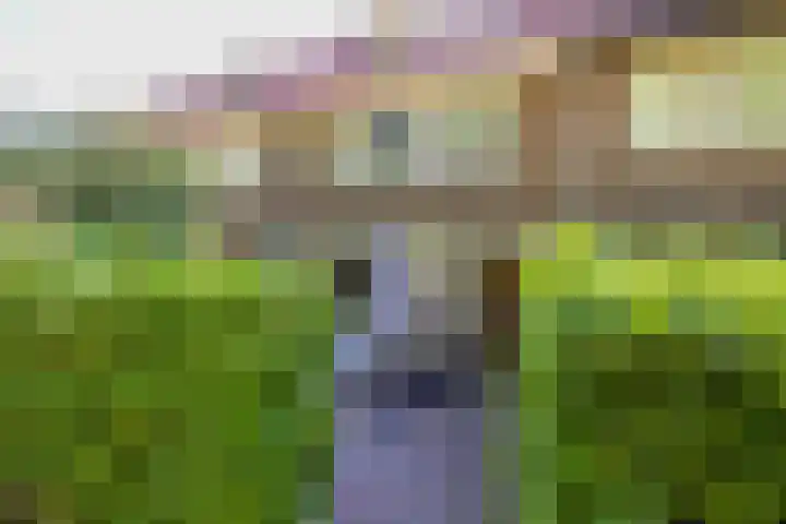 Spoorzichtlaan 17 Heemstede thumbnail 61