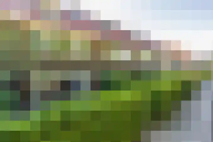Spoorzichtlaan 17 Heemstede thumbnail 62