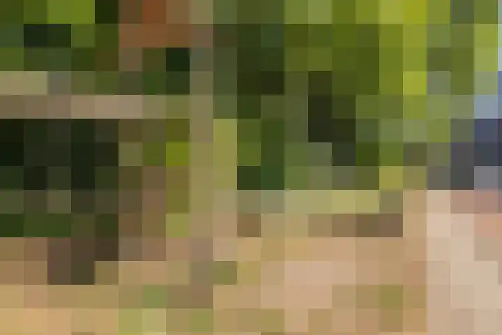 Spoorzichtlaan 17 Heemstede thumbnail 64