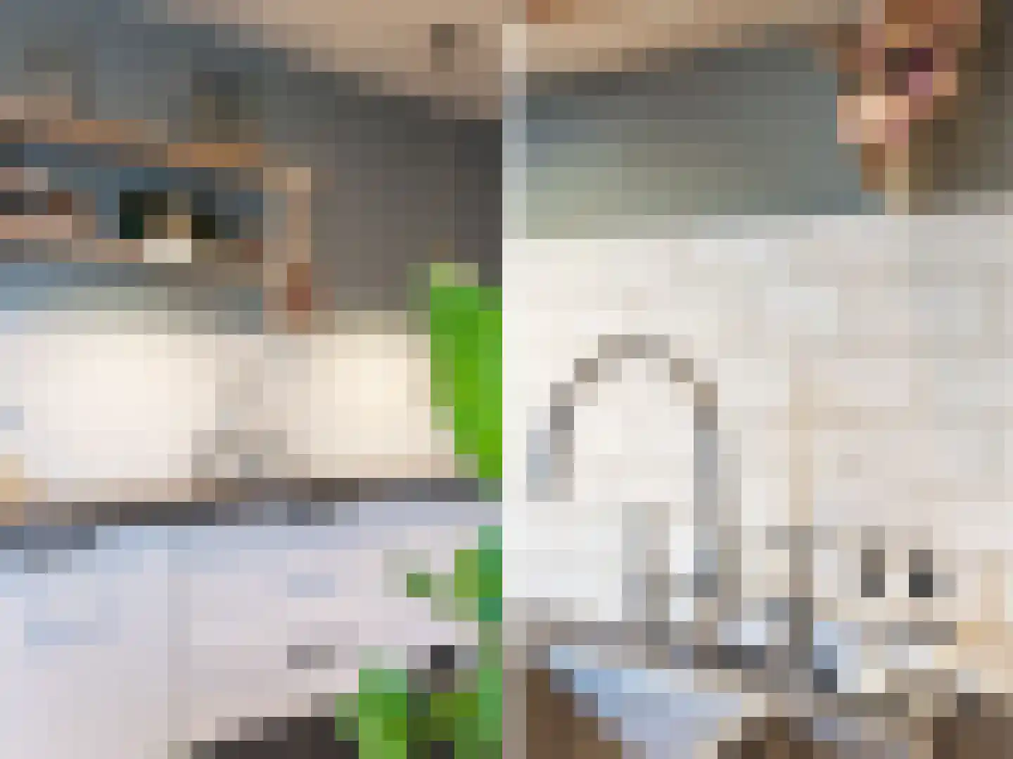 Spoorzichtlaan 8 Heemstede thumbnail 26