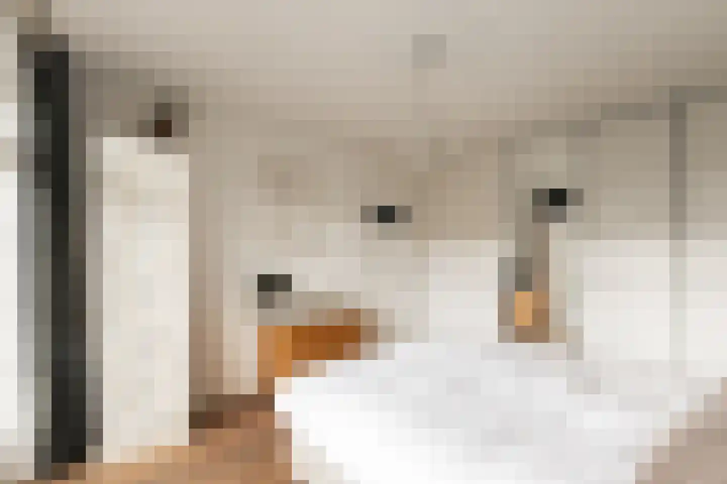 Spoorzichtlaan 8 Heemstede thumbnail 32