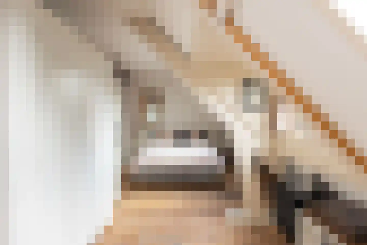 Spoorzichtlaan 8 Heemstede thumbnail 43
