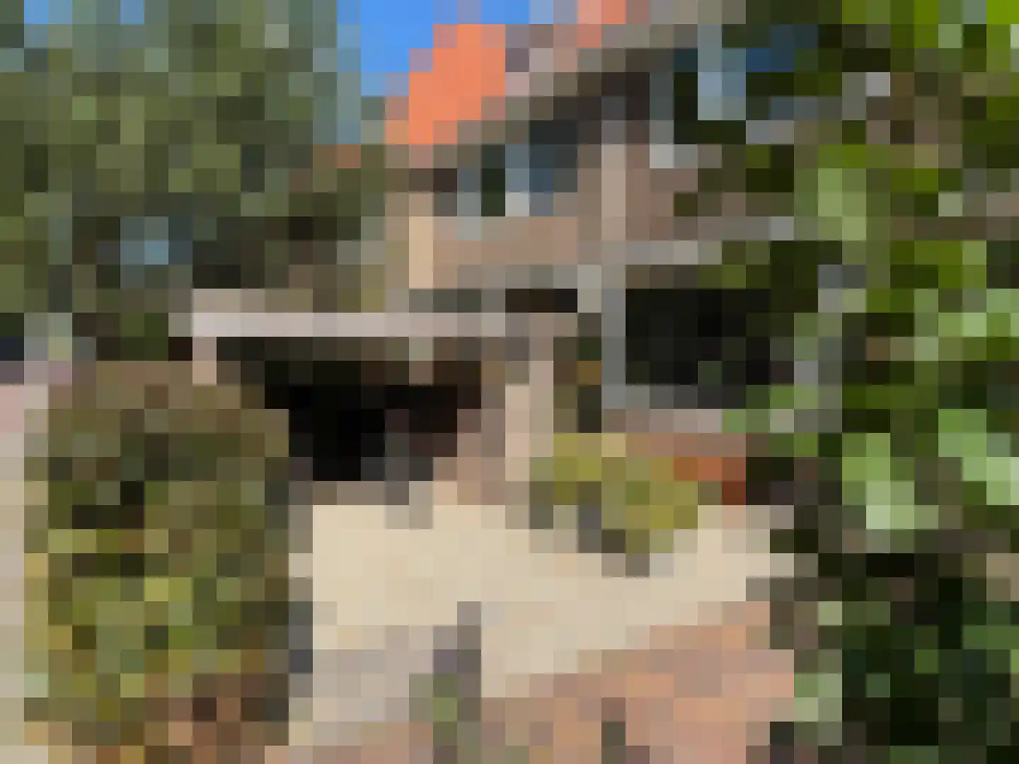 Spoorzichtlaan 8 Heemstede thumbnail 6