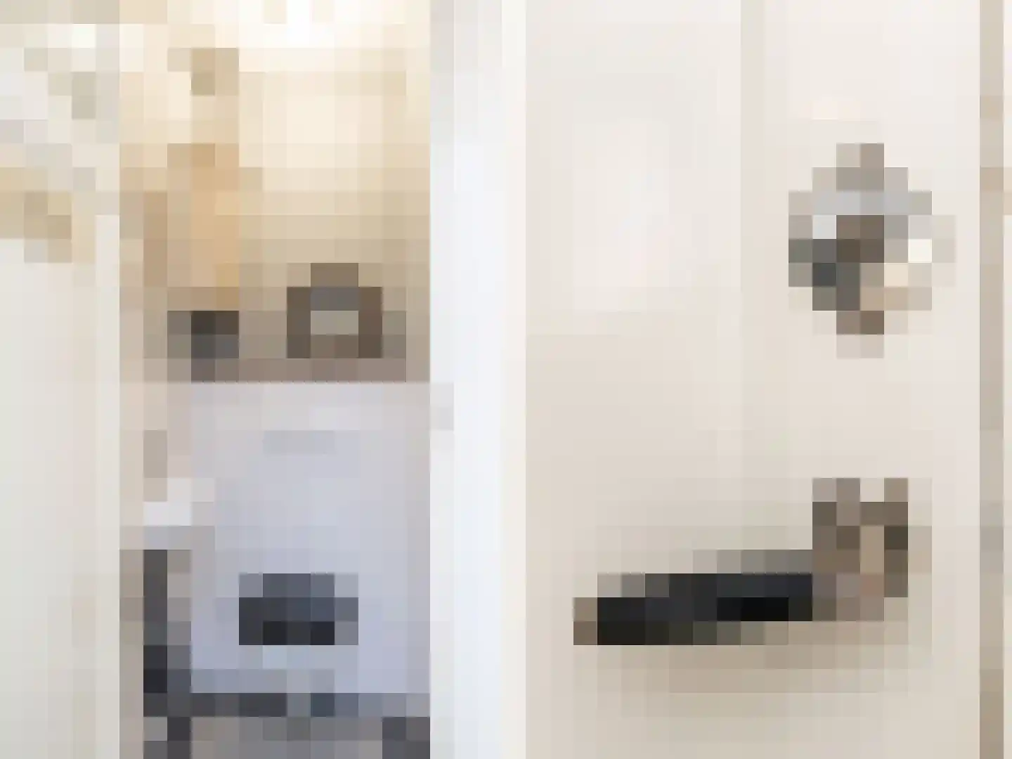 Spoorzichtlaan 8 Heemstede thumbnail 8