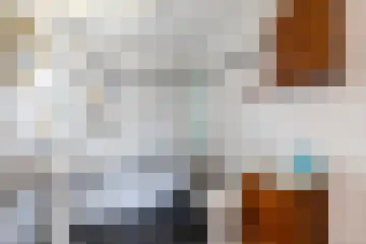 Sporadenlaan 48 Amsterdam thumbnail 23