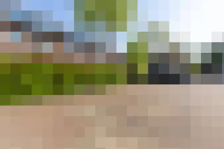 Sporadenlaan 48 Amsterdam thumbnail 31