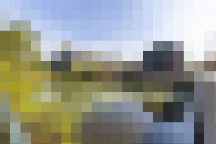 Sporadenlaan 48 Amsterdam thumbnail 34