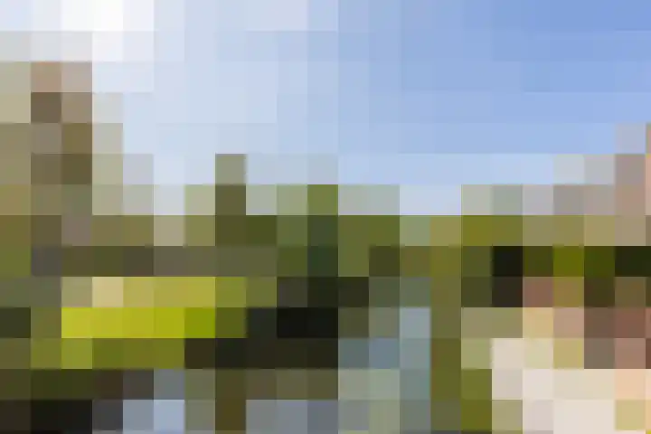 Sporadenlaan 48 Amsterdam thumbnail 36