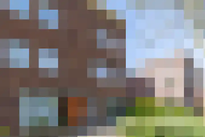 Sporadenlaan 48 Amsterdam thumbnail 6