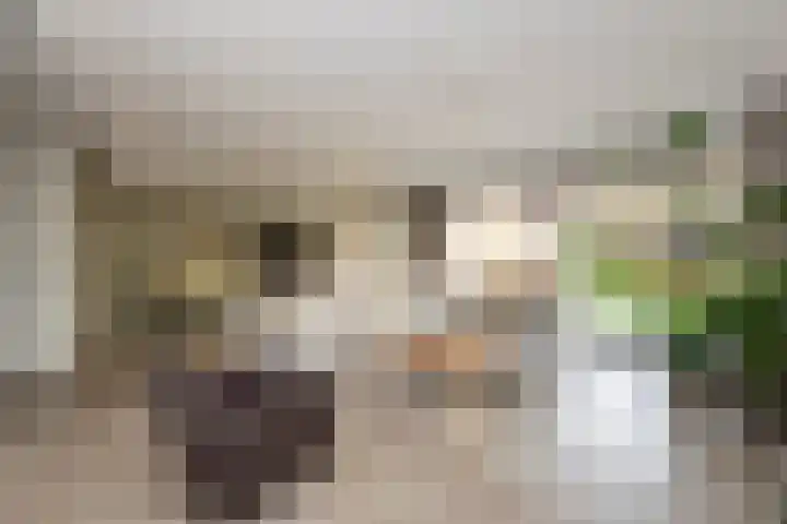 Sporenring 120 Goirle thumbnail 13