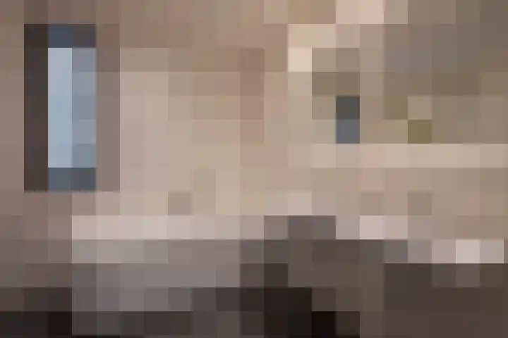 Sporenring 120 Goirle thumbnail 33