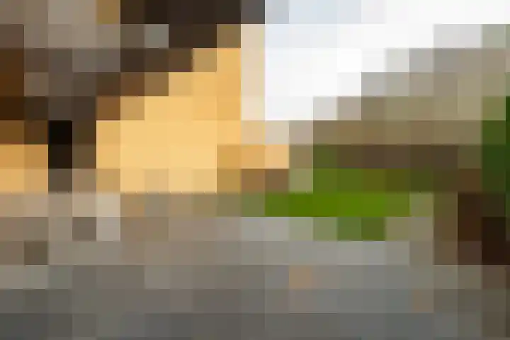 Sporenring 120 Goirle thumbnail 46