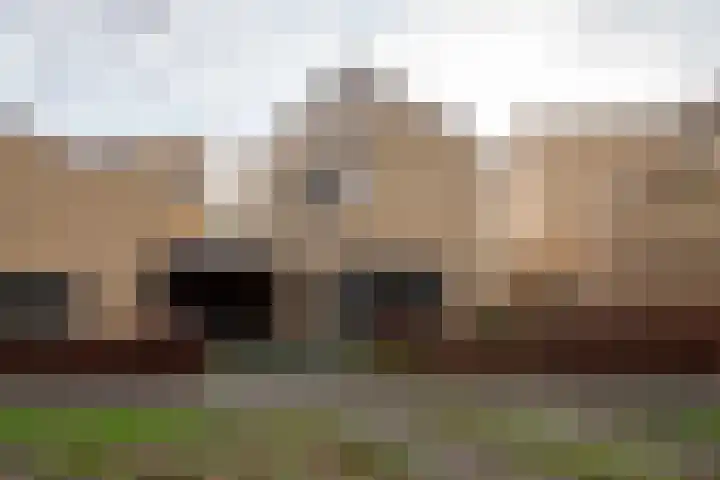 Sporenring 120 Goirle thumbnail 50