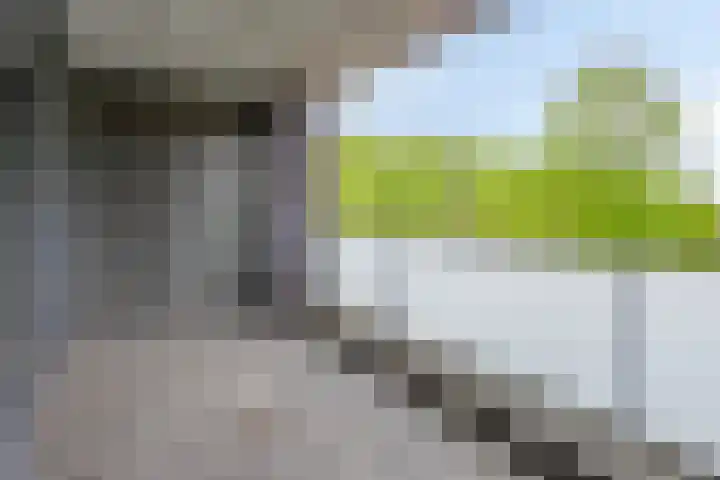 Sporenring 138 10 Goirle thumbnail 18