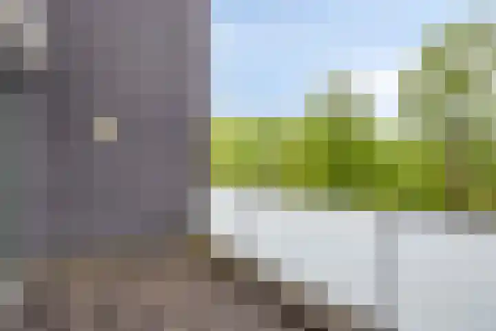 Sporenring 138 10 Goirle thumbnail 25