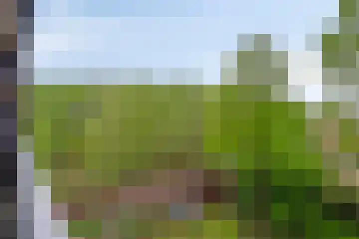 Sporenring 138 10 Goirle thumbnail 27