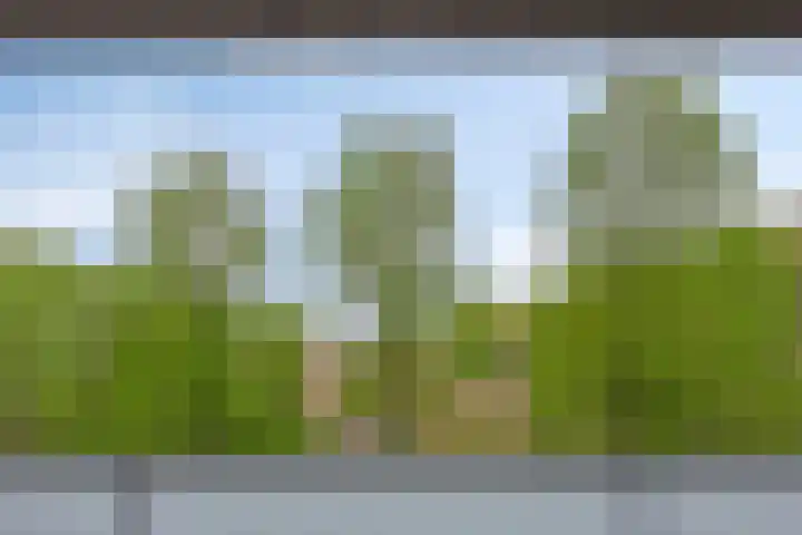 Sporenring 138 10 Goirle thumbnail 28