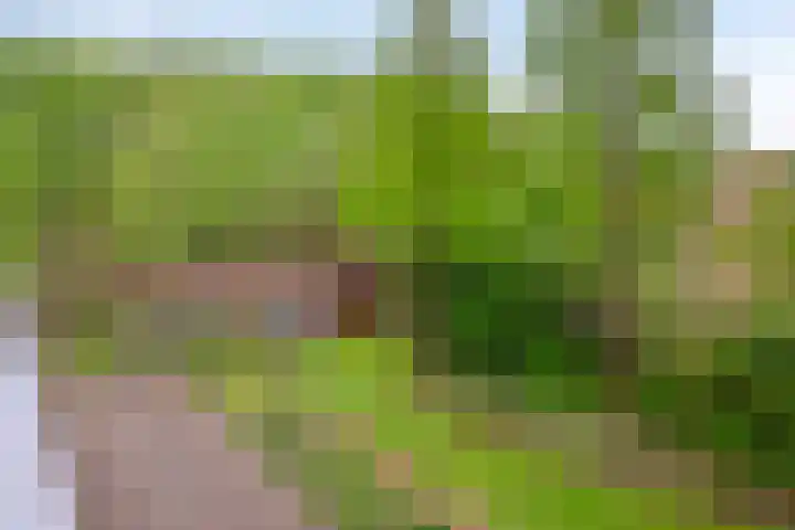Sporenring 138 10 Goirle thumbnail 29