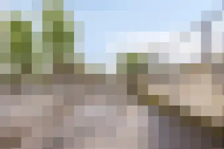 Sporenring 138 10 Goirle thumbnail 34