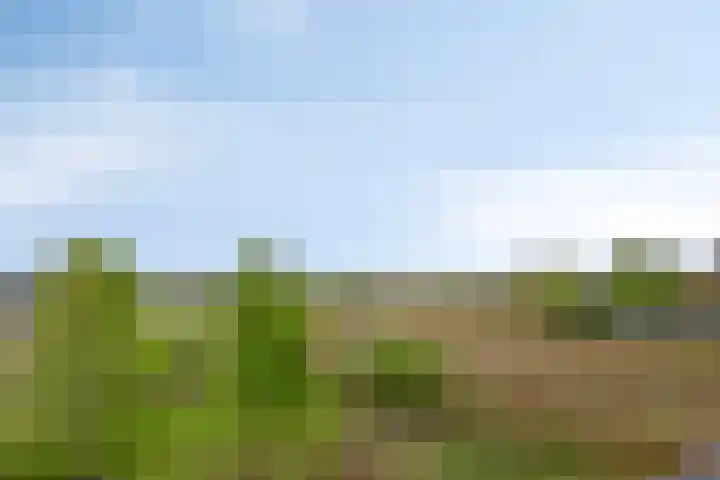 Sporenring 138 10 Goirle thumbnail 42