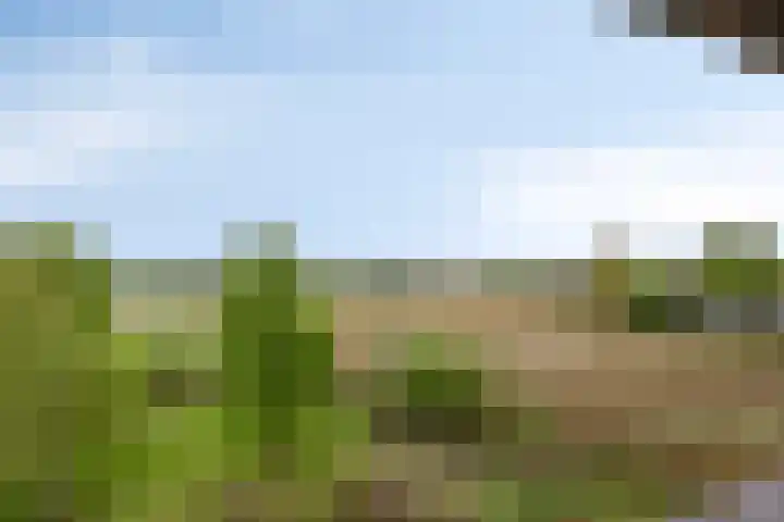 Sporenring 138 10 Goirle thumbnail 43