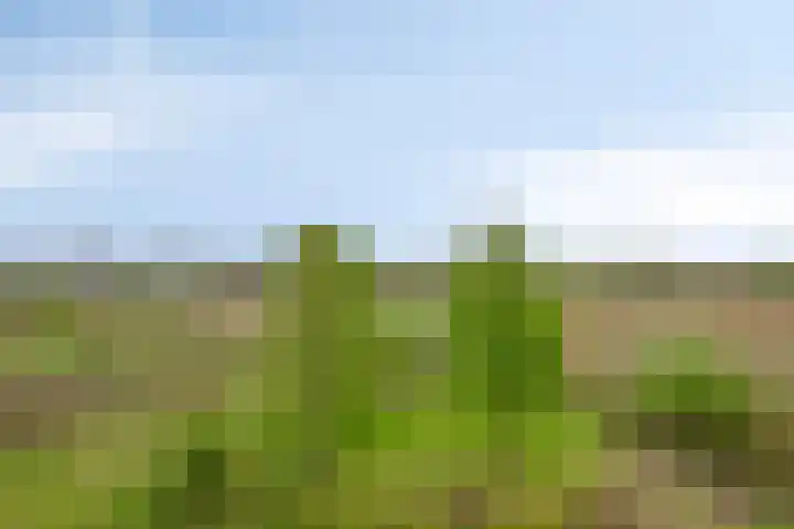 Sporenring 138 10 Goirle thumbnail 44