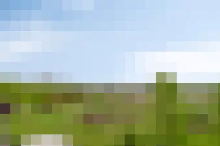 Sporenring 138 10 Goirle thumbnail 45