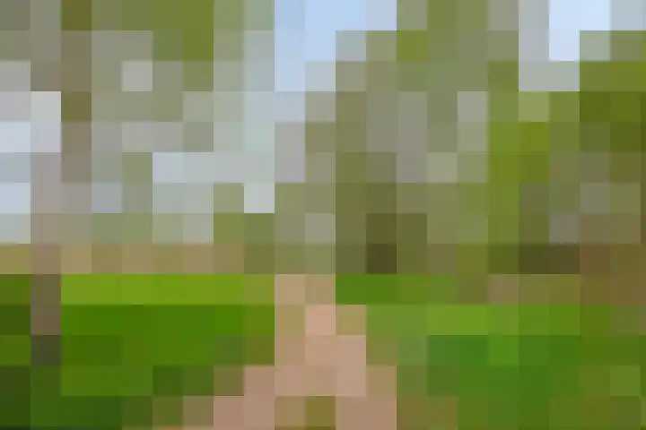 Sporenring 138 10 Goirle thumbnail 46