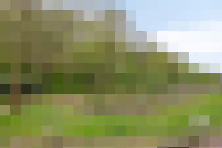 Sporenring 138 10 Goirle thumbnail 47