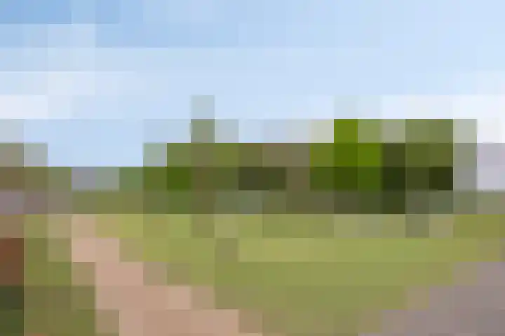 Sporenring 138 10 Goirle thumbnail 49