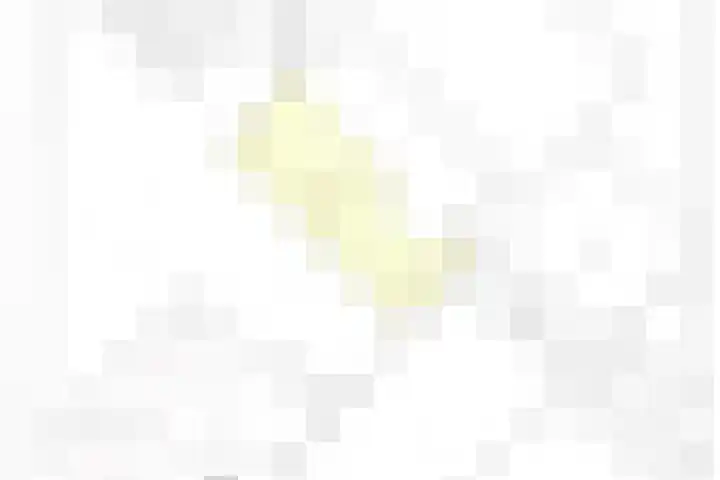 Sporenring 138 10 Goirle thumbnail 51