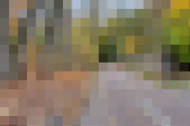 Sporenring 226 Goirle thumbnail 21
