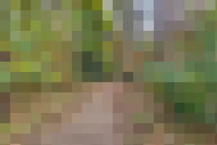 Sporenring 226 Goirle thumbnail 22