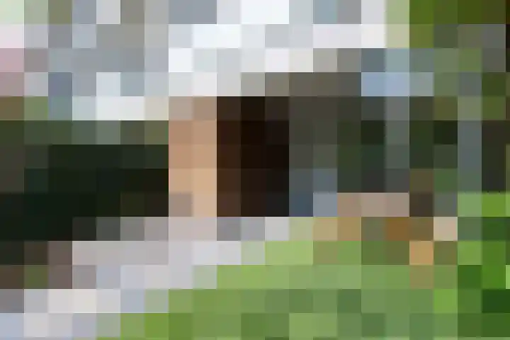 Sporenring 228 Goirle thumbnail 34