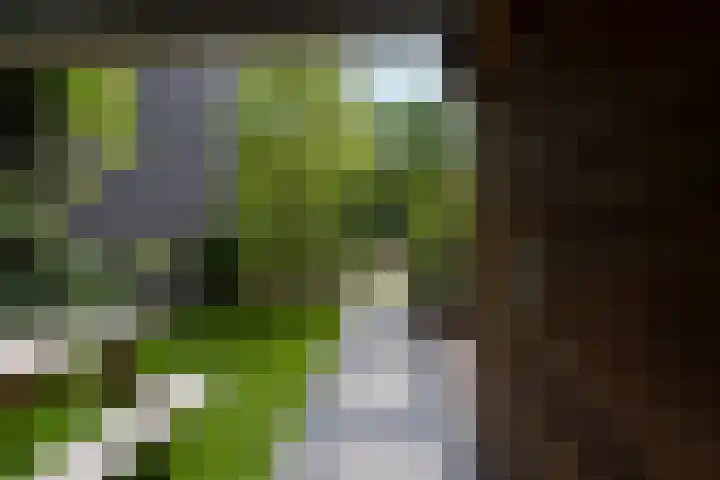 Sporenring 228 Goirle thumbnail 35