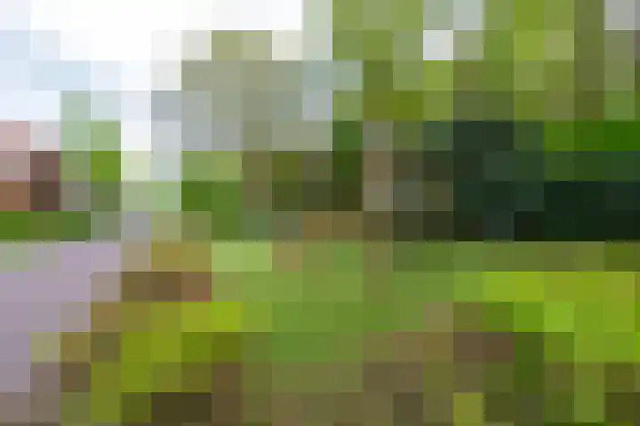 Sporenring 228 Goirle thumbnail 39