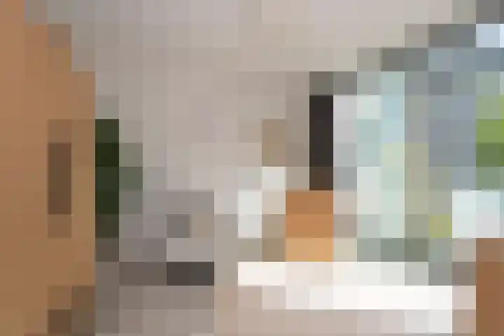 Sporenring 228 Goirle thumbnail 4