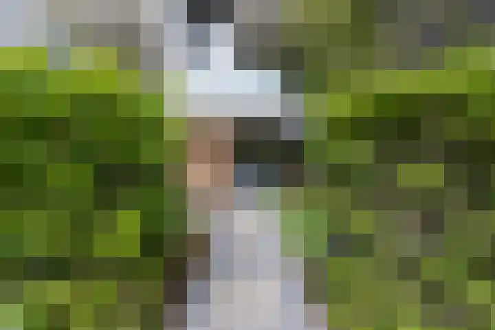 Sporenring 228 Goirle thumbnail 5