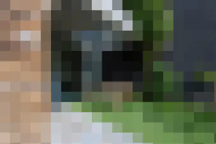 Sporenring 228 Goirle thumbnail 8