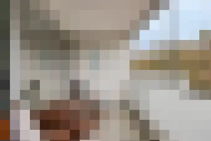 Sporenring 248 08 Goirle thumbnail 26