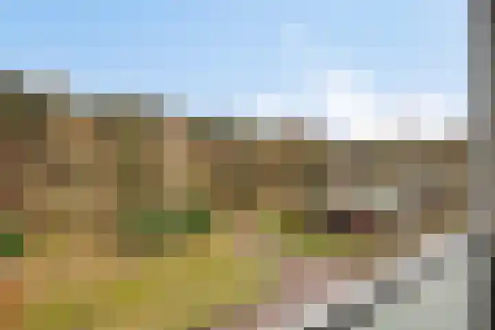 Sporenring 248 08 Goirle thumbnail 38