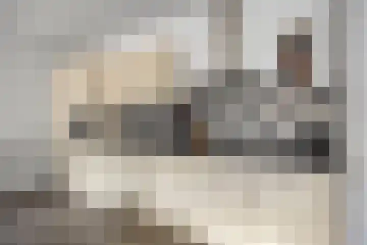 Sporenring 248 08 Goirle thumbnail 7