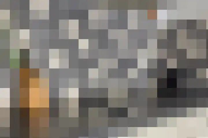 Sporenring 248 08 Goirle thumbnail 9