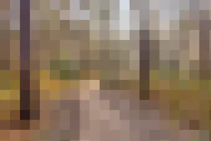Sporenring 250 Goirle thumbnail 37